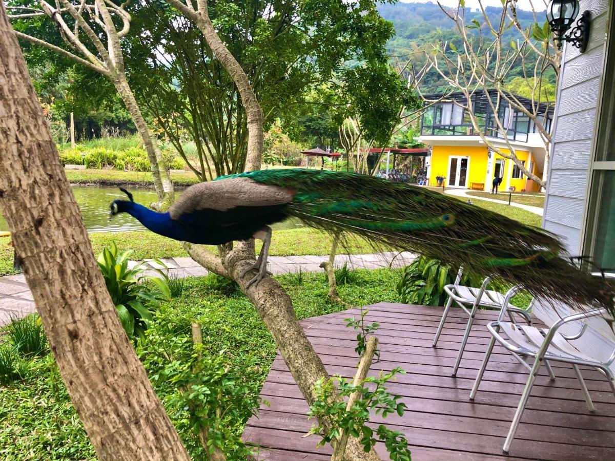 發現樹湖民宿 Tree Lake B&B Hualien Shuhu 外观 照片